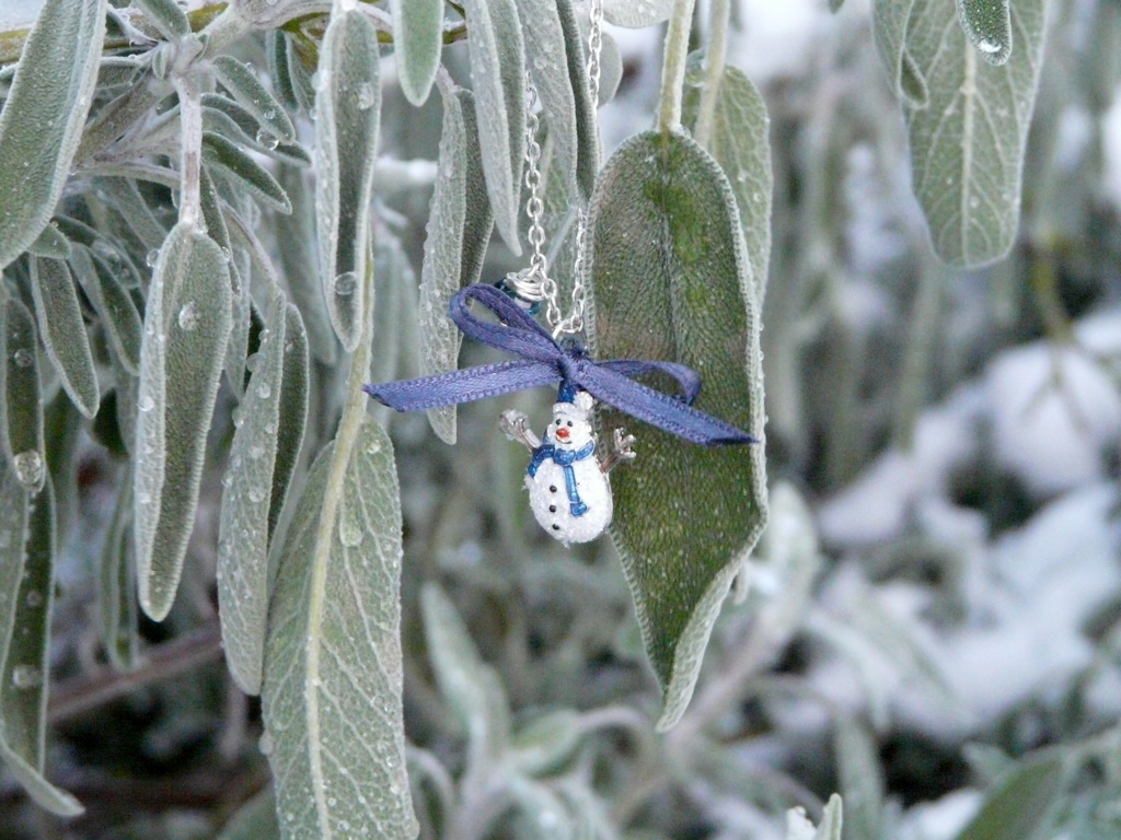 Collier Pomme, le Bonhomme