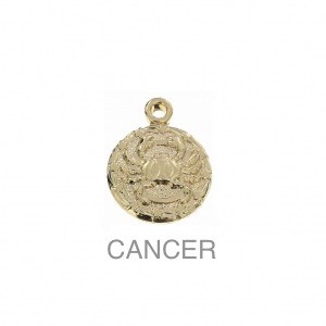 im-Breloque-astrologique-signe-du-zodiaque-Cancer-13-mm-Plaque-Or-3-microns-x1