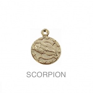 im-Breloque-astrologique-signe-du-zodiaque-Scorpion-13-mm-Plaque-Or-3-microns-x1